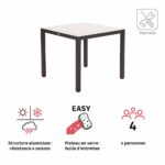 Table de jardin fixe carré 4 personnes verre aluminium mocka Lyra II