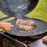 Barbecue charbon de bois sur chariot avec roues diamètre 54 cm anthracite Phoenix Gamma
