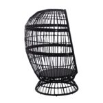 jpg_a36a5d61-02da-4ae8-96a7-fa3fb72058a1