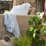 jpg_7d5ddee6-6b87-4976-913b-9fbd2e93ddcc