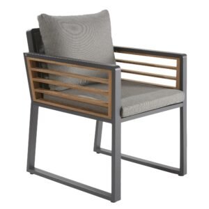 Silla Ionis