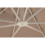 jpg_34552850-cc54-49cd-aa78-19189e36b86b