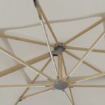 jpg_43317892-ff02-4855-ad04-c28de168fc10