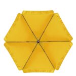 jpg_b52a6db0-2bce-43ae-9c11-aed320ec1cd5