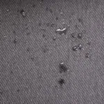 jpg_e4545885-ede8-4dd4-a8a6-24c19df754c8