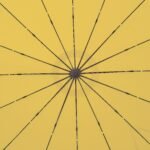 jpg_ef903bda-12e6-4b2e-9e26-e7834ac2dbf5