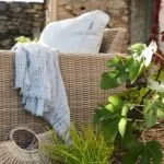 jpg_fdb0bf7c-0ea0-4c80-9806-241ae42db837