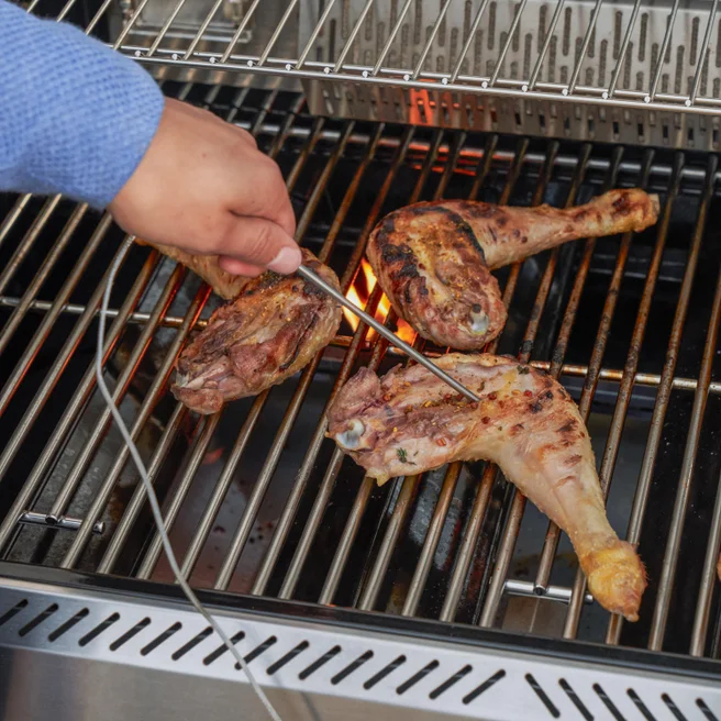 Barbacoa de gas Premium Upsilon