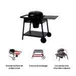 bbq phoenix gamma inst