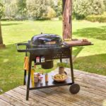 bbq phoenix gamma web