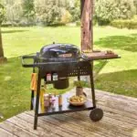 bbq phoenix gamma web