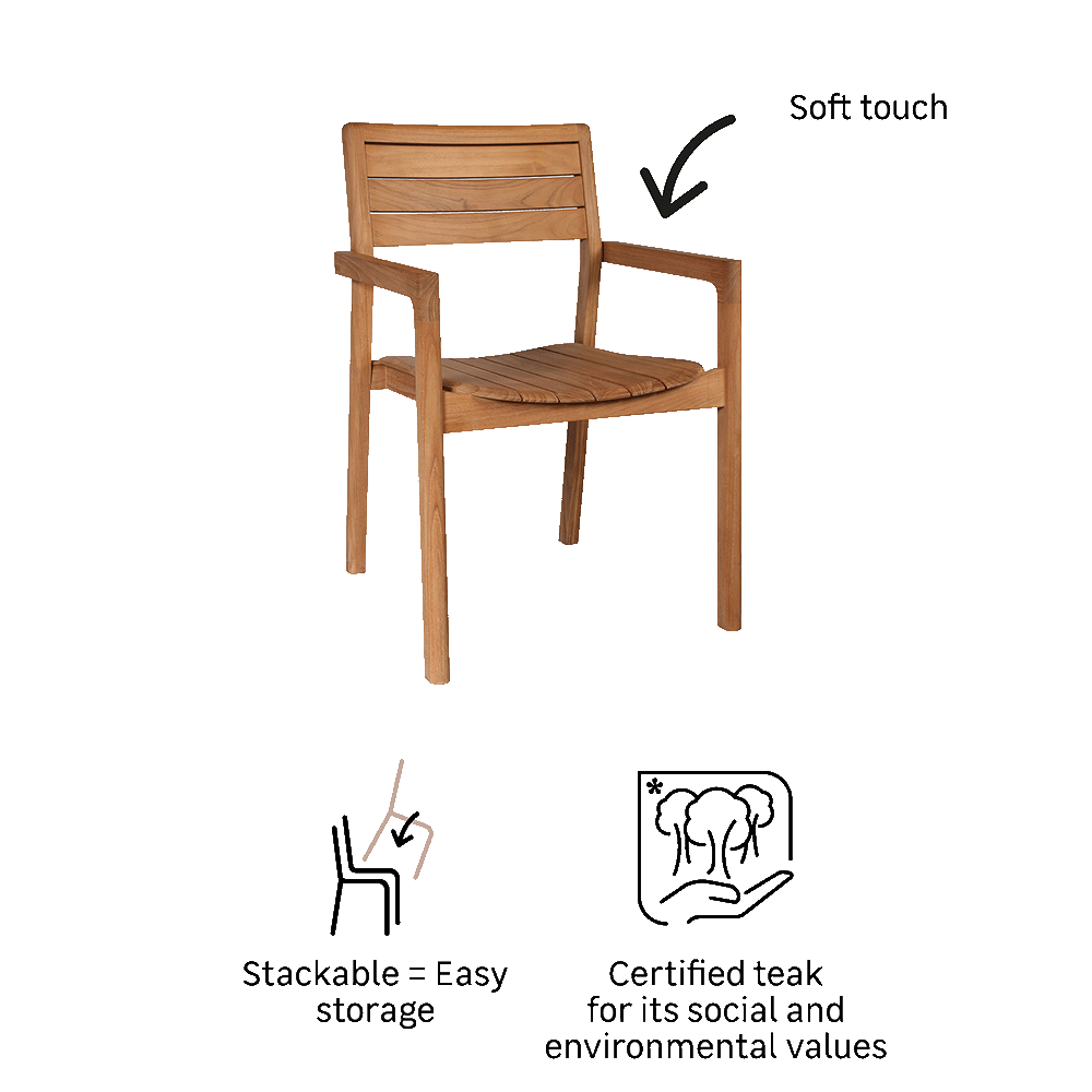 Dining armchair teak Aurora